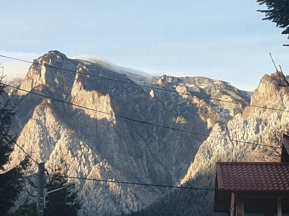 Mountain Break Azuga Ski Exteriér fotografie